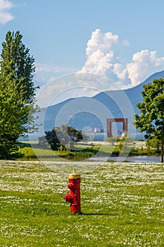 Red fire hydrant in a meadow