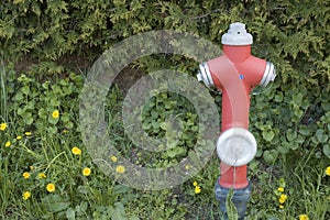 Red fire hydrant in meadow