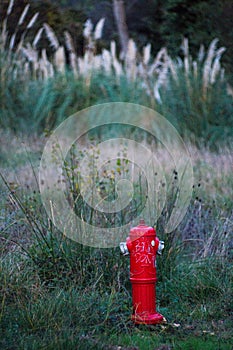 Red fire hydrant in the middle of the meadow. Dry vegetation at risk