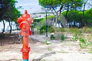 Red Fire hydrant on nature in Europe