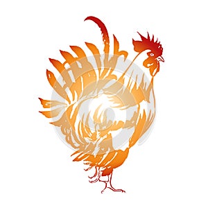 Red Fire Rooster, Chinese New Year 2017 Symbol. Hand drawn by Ink. Vector illustration