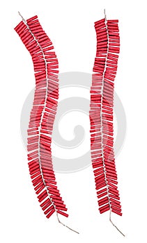 Red Firecrackers isolated on white background with clipping path