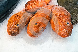 Red fish on ice at the Boqueria market