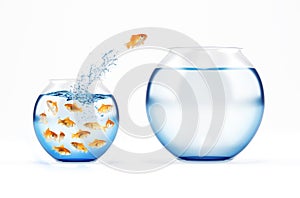 Red fish jumps from a full of fishes cruet to an empty and bigger one. concept of escape from crowd photo