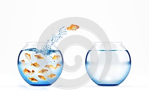 Red fish jumps from a full of fishes cruet to an empty one. concept of escape from crowd