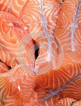 Red fish salmon raw fillet