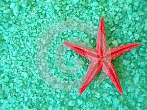 Red fish star and salt