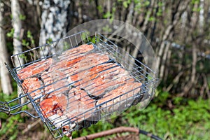 Red fish steaks - coho salmon skewers in a metal wire rack for open fire on a background of green grass. Weekend at the cottage