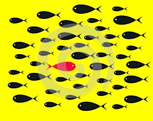 Red Fish swim opposite upstream the ton of black fish on yellow photo