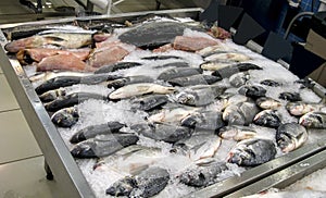 Red fish trout and salmon lies in pieces of ice on a counter sold in a store