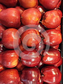 Red flame apple juicy tidy