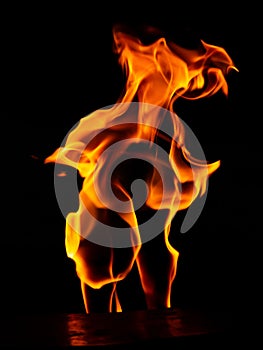 Red flame of fire on a black background