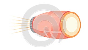 Red flashlight or torch, illumination and emergency tool, vector design Generative AI