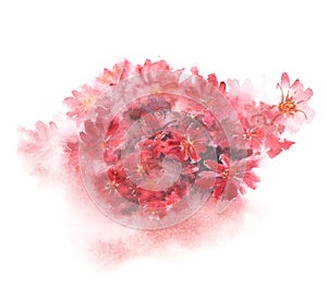 Red floral bouquet with blurred color splash on white background. Hand-painted watercolor illustration