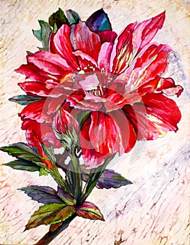 Red Flower