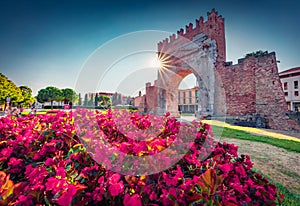 Red flower blooming before the Arch of Augustus.