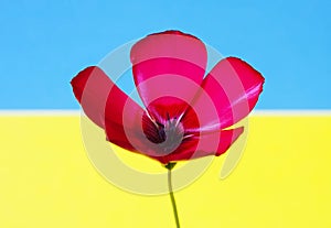 Red flower flag