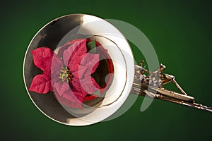 Red flower on French Horn