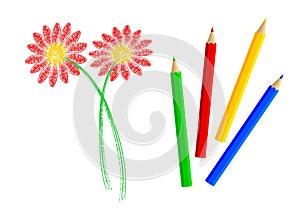 Red flower with pencils