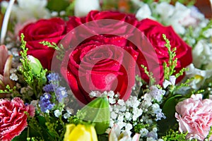 Red flower picture close up in the bouquet. The flower`s petal . Bouquet of fresh red, white , orange roses . bouquet of