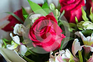 Red flower picture close up in the bouquet. The flower`s petal . Bouquet of fresh red, white , orange roses . bouquet of