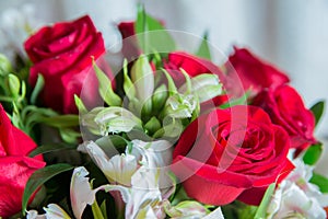 Red flower picture close up in the bouquet. The flower`s petal . Bouquet of fresh red, white , orange roses . bouquet of