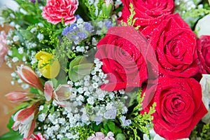 Red flower picture close up in the bouquet. The flower`s petal . Bouquet of fresh red, white , orange roses . bouquet of