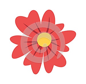 Red flower pollinated with bee