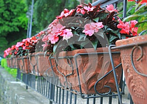 Red flower pots weigh on the wall