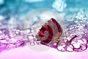 Red flower under water