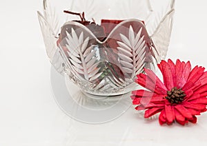 Red flower and vase with petals.