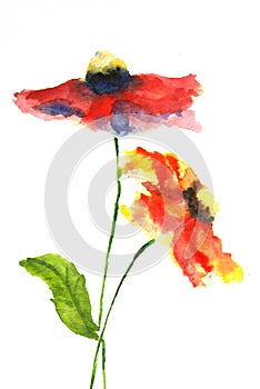 Red flower, watercolor illustrator