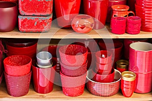 Red flowerpots in the florist store