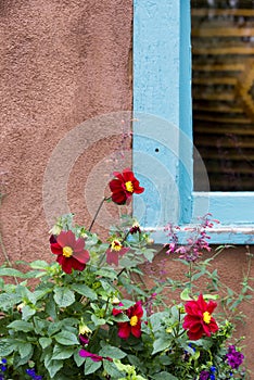 Red Flowers Adorning a New Mexico Window