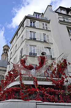 Red flowers on building facade