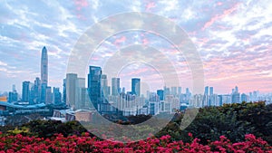 Red flowers with the city skyline of Futian District, taken from Lianhuashan Park in Shenzhen.