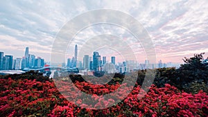 Red flowers with the city skyline of Futian District, taken from Lianhuashan Park in Shenzhen.