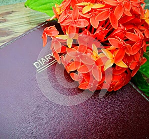 Red flowers and a diary