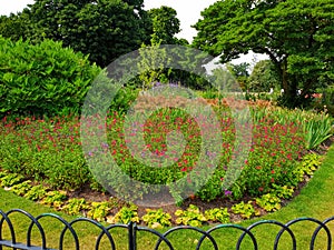 The red flowers garden