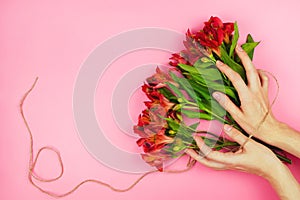 Red flowers in girl`s hands on pink background. Concept of present or flower arranger.