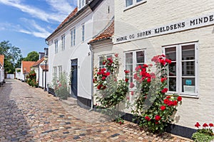 Red flowers on a historic house in Ribe