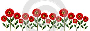 Red flowers line