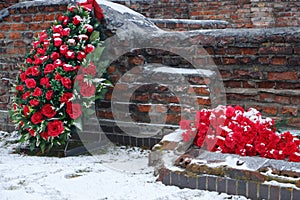 Red flowers at the memorial. Memory of fallen soldiers. May 9.