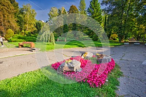 Red flowers in the park in Sliac spa resort