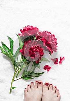Red flowers peonies and beautiful women`s feet with a red pedicure on a light background, top view