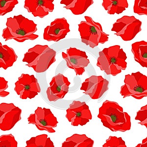 Red flowers poppies vector seamless pattern. Flat illustration isolated on white.