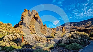 Red flowers Tajinaste with scenic view on rock formation Roque Cinchado during sunrise in Mount El Teide National Park, Tenerife.