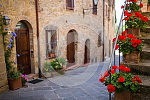 Red flowers in Tuscany, Italy