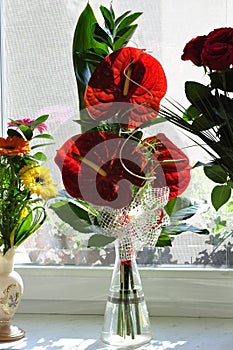 Red flowers in vase