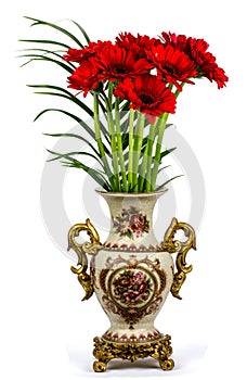 Red flowers in a vase on a white background